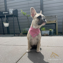 Lade das Bild in den Galerie-Viewer, Halstuch - individually