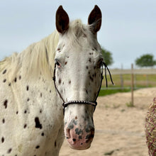 Lade das Bild in den Galerie-Viewer, Knotenhalfter mit Glitzersteinen