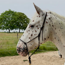 Lade das Bild in den Galerie-Viewer, Knotenhalfter mit Glitzersteinen