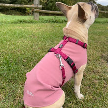 Lade das Bild in den Galerie-Viewer, Hundemantel Softshell - individually