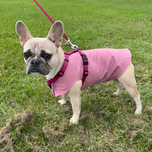 Lade das Bild in den Galerie-Viewer, Hundemantel Softshell - individually