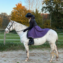 Lade das Bild in den Galerie-Viewer, Reitrock aus Softshell - neun verschiedene Farben
